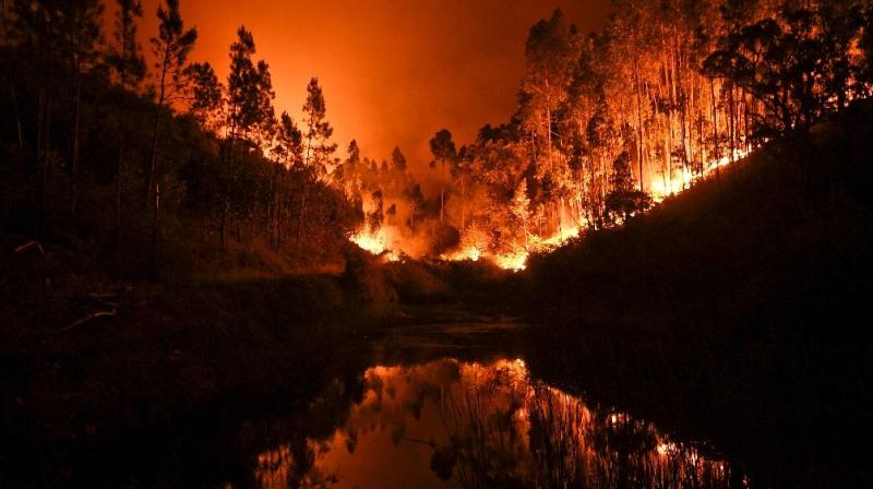 On Tuesday over 4,000 firefighters and troops backed by 19 water bombers had already been mobilised to extinguish the flames. (Photo: Representational/ File) On Tuesday over 4,000 firefighters and troops backed by 19 water bombers had already been mobilised to extinguish the flames. (Photo: Representational/ File)