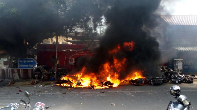 Jallikattu protesters attack Ice House police station near Chennai’s Marina Beach and set vehicles on fire. (Photo: DC) Jallikattu protesters attack Ice House police station near Chennai’s Marina Beach and set vehicles on fire. (Photo: DC)
