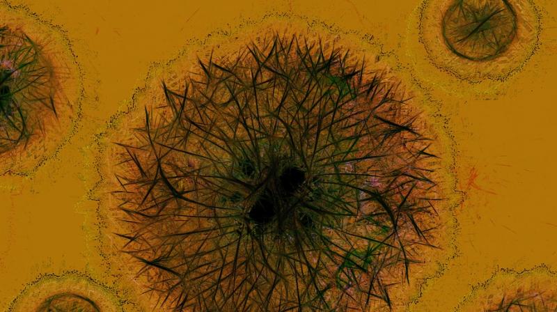 New study finds genetic change in gut bacteria impacts metabolism. (Photo: Pixabay) New study finds genetic change in gut bacteria impacts metabolism. (Photo: Pixabay)