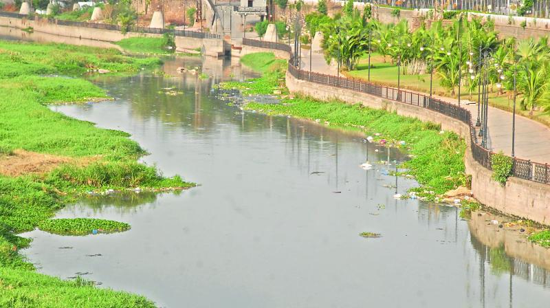 A file picture of Musi river under GHMC limits. A file picture of Musi river under GHMC limits.