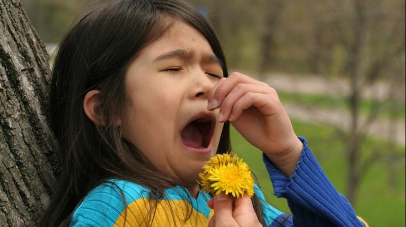 Studies on ragweed show that the amount of pollen the plant produces actually doubles with higher levels of CO2. (Photo: ANI) Studies on ragweed show that the amount of pollen the plant produces actually doubles with higher levels of CO2. (Photo: ANI)