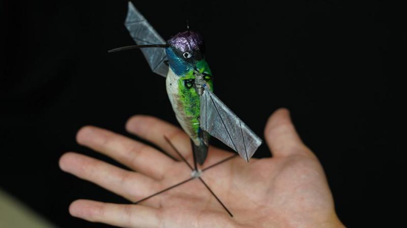 Drones can't be made infinitely smaller, due to the way conventional aerodynamics work. (Purdue University photo/Jared Pike) Drones can't be made infinitely smaller, due to the way conventional aerodynamics work. (Purdue University photo/Jared Pike)