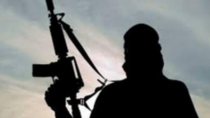 CPI Maoist party squad member surrendered before Officer on Special Duty (OSD) V Krishna Rao on Tuesday. (Photo: Representational I ANI) CPI Maoist party squad member surrendered before Officer on Special Duty (OSD) V Krishna Rao on Tuesday. (Photo: Representational I ANI)