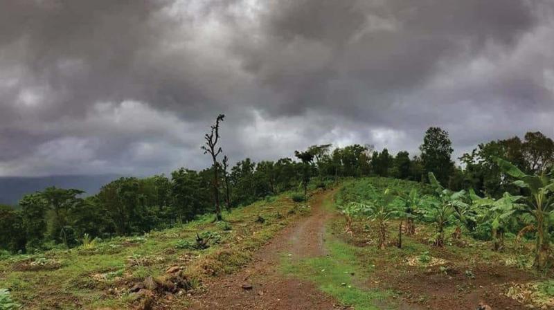 The site for the waste-to-energy plant is a cultivated land inside the district agricultural farm at Peringammala. The site for the waste-to-energy plant is a cultivated land inside the district agricultural farm at Peringammala.