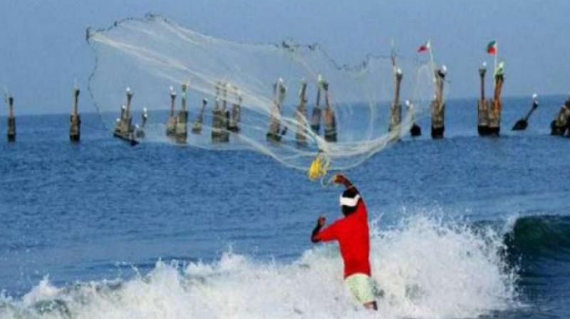 Mechanised boats pull bag net, by running at a high speed, so that the fishes coming on its course of sail get trapped in the net. (Representional Image) Mechanised boats pull bag net, by running at a high speed, so that the fishes coming on its course of sail get trapped in the net. (Representional Image)