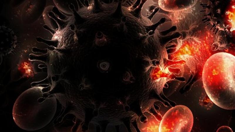The principle behind the genomic marker is that most HIV infections are caused by the transmission of a single founder virus. (Photo: Pixabay) The principle behind the genomic marker is that most HIV infections are caused by the transmission of a single founder virus. (Photo: Pixabay)