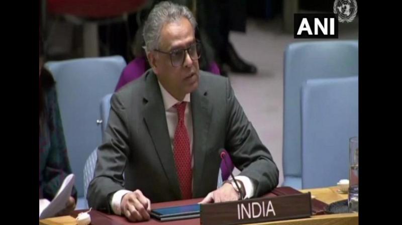 Syed Akbaruddin on Friday said the states who are 'apologists' for terrorists will continue to provide alibis to justify their actions and inaction. (Photo: ANI) Syed Akbaruddin on Friday said the states who are 'apologists' for terrorists will continue to provide alibis to justify their actions and inaction. (Photo: ANI)