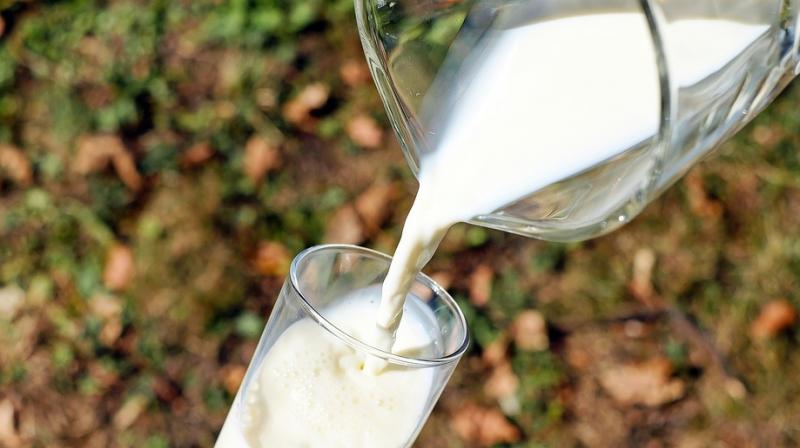 Dairy products associated with higher bone strength in men. (Photo: Pixabay) Dairy products associated with higher bone strength in men. (Photo: Pixabay)