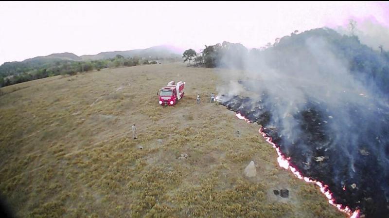 Fires in the Amazon have surged 83 percent so far this year compared with the same period a year earlier, government figures show. (Photo: AP) Fires in the Amazon have surged 83 percent so far this year compared with the same period a year earlier, government figures show. (Photo: AP)