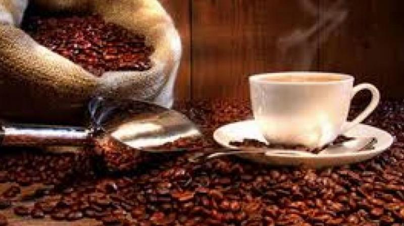 The recent investigative report by BBC Watchdog that found faecal bacteria in ice samples from the UK outlets of Costa Coffee, Café Nero and Starbucks, could likely put a brake on those bitter desires. The recent investigative report by BBC Watchdog that found faecal bacteria in ice samples from the UK outlets of Costa Coffee, Café Nero and Starbucks, could likely put a brake on those bitter desires.