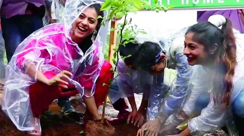 Tanishaa and Kajol planting trees at the event. Tanishaa and Kajol planting trees at the event.