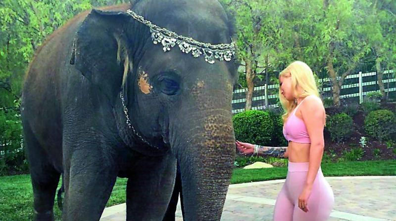 Iggy Azalea (Photo: Instagram) Iggy Azalea (Photo: Instagram)