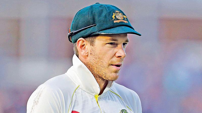 Australias captain Tim Paine. AP Photo