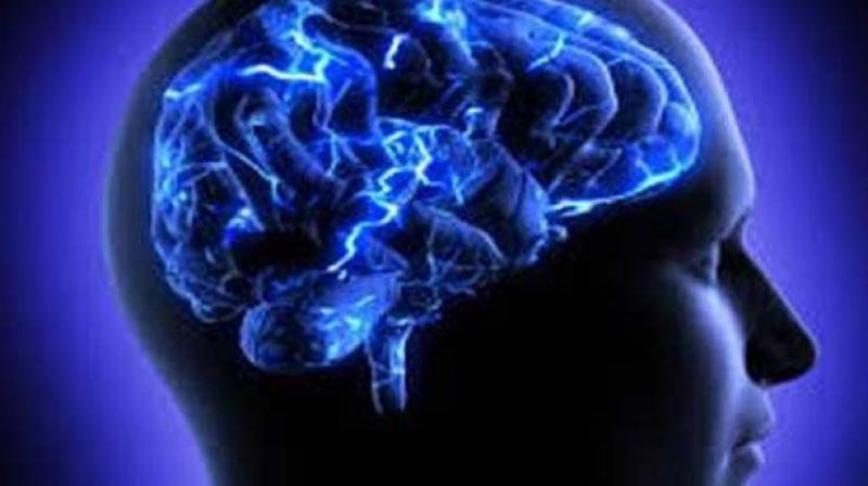 Results showed a 20 percent drop in receptor protein levels in sleeping mice (Photo: AFP) Results showed a 20 percent drop in receptor protein levels in sleeping mice (Photo: AFP)