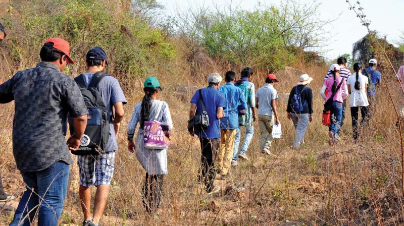 There are excellent trekking spots in the hills of the Western Ghats in the states of Tamil Nadu, Karnataka and Kerala. There are excellent trekking spots in the hills of the Western Ghats in the states of Tamil Nadu, Karnataka and Kerala.