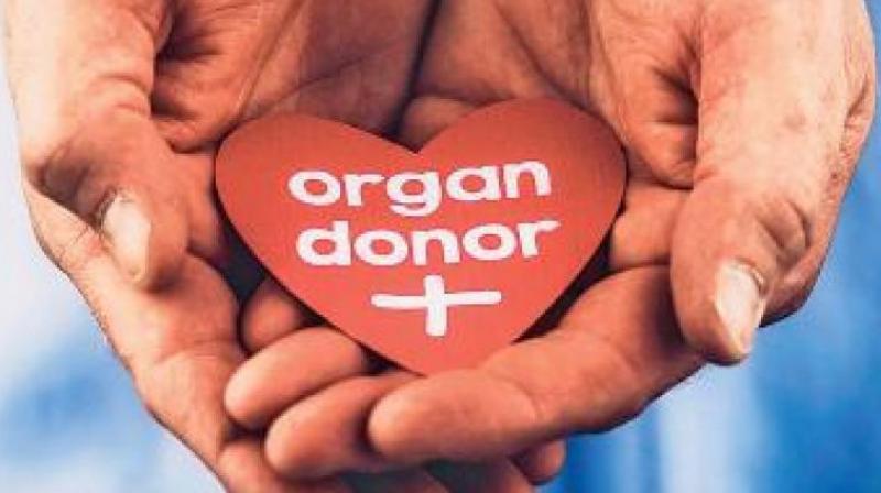 Their modus operandi was to identify kidney patients and potential donors and extort money by forging the documents to conduct the transplants. Their modus operandi was to identify kidney patients and potential donors and extort money by forging the documents to conduct the transplants.