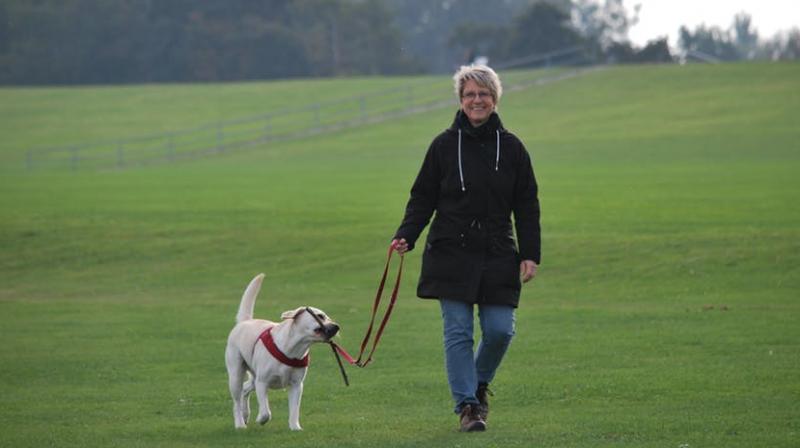 Dog walkers motivated by happiness, study finds. (Photo: Pexels) Dog walkers motivated by happiness, study finds. (Photo: Pexels)