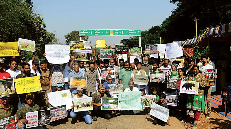 Environmentalists protest against proposed elevated road in the tiger reserve in Bandipur near Mysuru on Saturday (Photo:KPN) Environmentalists protest against proposed elevated road in the tiger reserve in Bandipur near Mysuru on Saturday (Photo:KPN)
