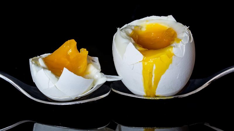 Consuming egg yolks during pregnancy can help improve baby's brain power. (Photo: Pixabay) Consuming egg yolks during pregnancy can help improve baby's brain power. (Photo: Pixabay)