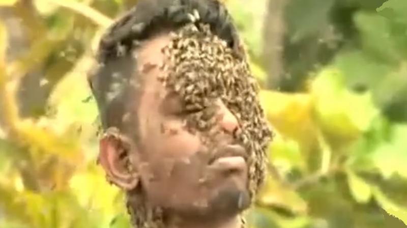 He is the son of an award winning beekeeper (Photo: YouTube) He is the son of an award winning beekeeper (Photo: YouTube)