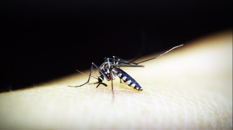 The vaccine created by the team of scientists, which has completed the pre-clinical trial (animal experimenting), will induce an immune response comprising of antibodies. The vaccine created by the team of scientists, which has completed the pre-clinical trial (animal experimenting), will induce an immune response comprising of antibodies.