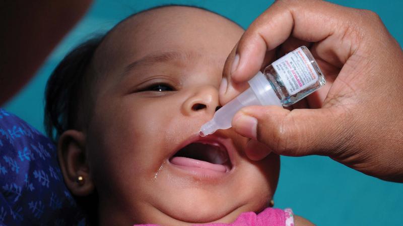 The managing director of Biomed Pvt Ltd, which was supplying the polio vaccines for only government-run immunisation programmes, has been arrested. (Photo: File) The managing director of Biomed Pvt Ltd, which was supplying the polio vaccines for only government-run immunisation programmes, has been arrested. (Photo: File)