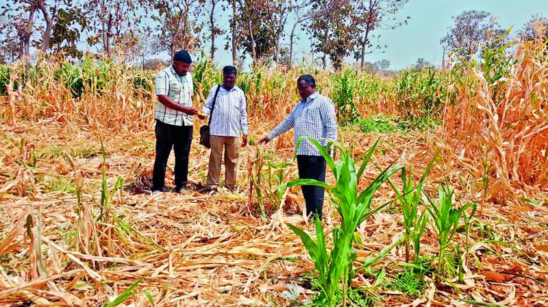 Officials inspect a damaged farm Officials inspect a damaged farm
