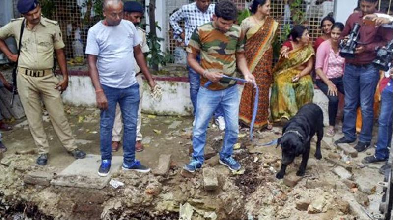 Police with their sniffer dogs investigate the site where a rape victim was allegedly buried, at a government shelter home in Muzaffarpur. (Photo: File) Police with their sniffer dogs investigate the site where a rape victim was allegedly buried, at a government shelter home in Muzaffarpur. (Photo: File)