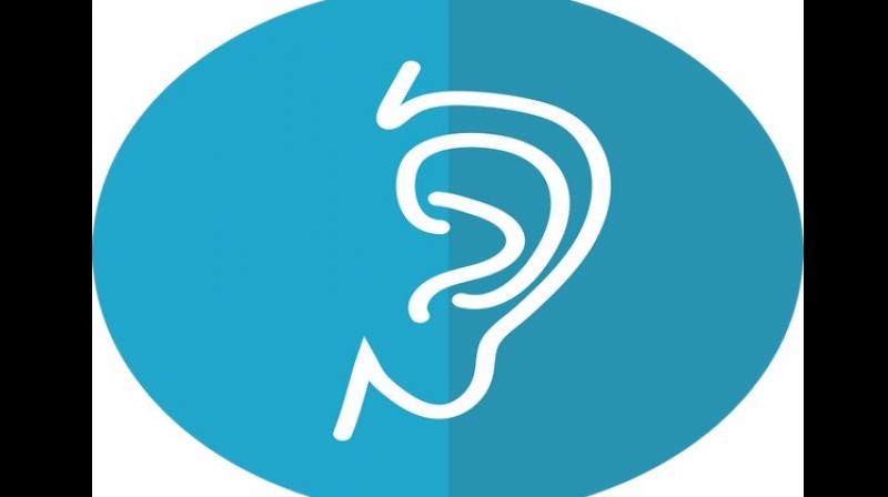 The resulting activity patterns stem from measurements in a mouse brain, reported the study published in – Cell Reports. (Photo: ANI) The resulting activity patterns stem from measurements in a mouse brain, reported the study published in – Cell Reports. (Photo: ANI)