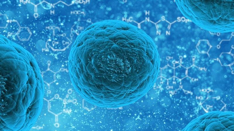 The results of the study were published in the journal Nature Communications. (Photo: Representational/Pixabay) The results of the study were published in the journal Nature Communications. (Photo: Representational/Pixabay)