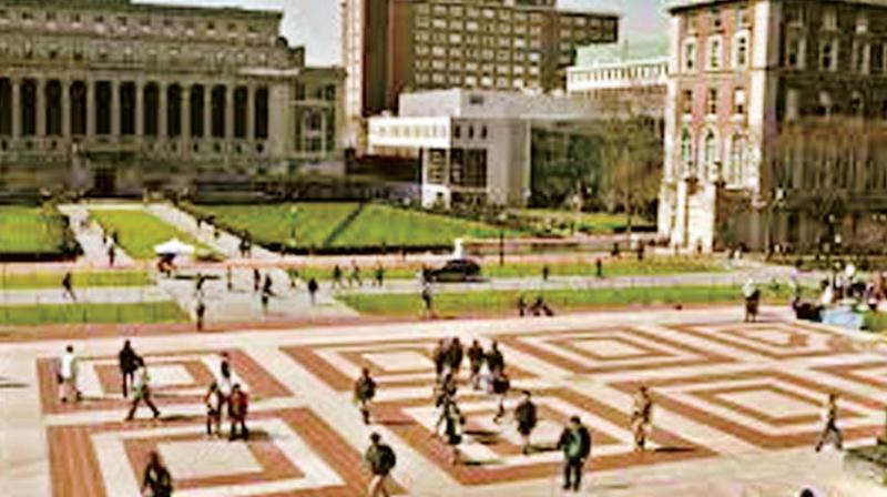 Universities do decently with knowledge transmission. They do dismally transmitting skills. Universities do decently with knowledge transmission. They do dismally transmitting skills.