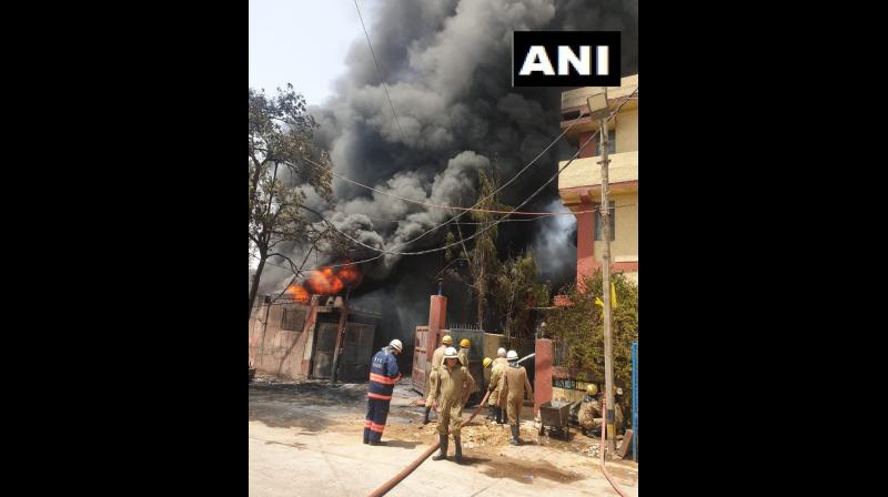 Chemical factory in Naraina area where a fire broke out; firefighters are present at the scene controlling fire. (Photo: ANI I Twitter) Chemical factory in Naraina area where a fire broke out; firefighters are present at the scene controlling fire. (Photo: ANI I Twitter)