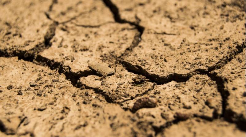 Climate change is causing less water in rural rivers threatne(Photo: Pexels) Climate change is causing less water in rural rivers threatne(Photo: Pexels)