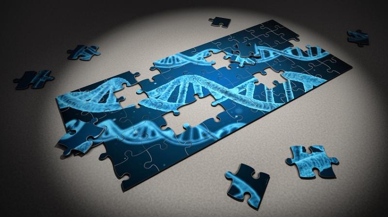 Genomic Prediction is powering ahead with their innovation, giving parents the options of seeing a ‘scorecard’ of sorts of their embryo. (Photo: Representational/Pixabay) Genomic Prediction is powering ahead with their innovation, giving parents the options of seeing a ‘scorecard’ of sorts of their embryo. (Photo: Representational/Pixabay)
