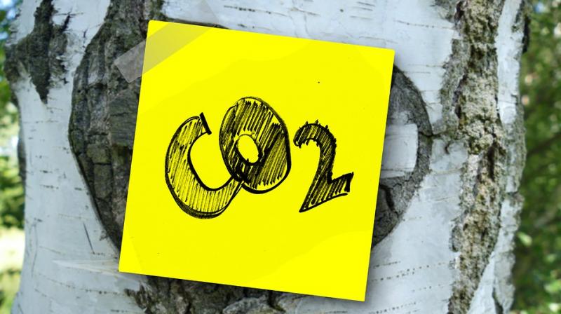 Holding the sector's carbon pollution in check will likely require carbon taxes or CO2 trading schemes for aviation, the researchers concluded. Holding the sector's carbon pollution in check will likely require carbon taxes or CO2 trading schemes for aviation, the researchers concluded.