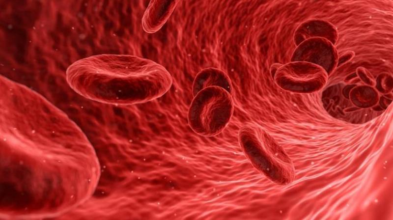 The study appears in Annals of Oncology. (Photo: Pixabay) The study appears in Annals of Oncology. (Photo: Pixabay)