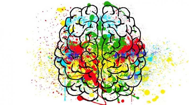 This part of the brain could hold clues for anxiety, depression. (Photo: Pixabay) This part of the brain could hold clues for anxiety, depression. (Photo: Pixabay)
