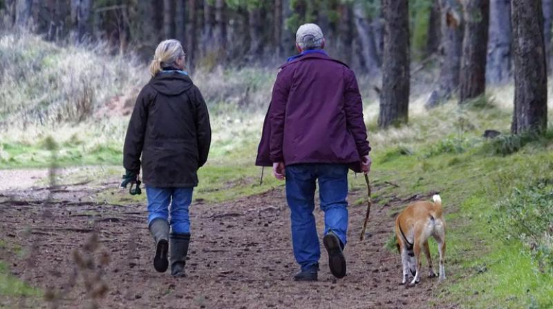 Senior citizen were found to meet exercise goals just by walking their dogs. (Photo: Pixabay) Senior citizen were found to meet exercise goals just by walking their dogs. (Photo: Pixabay)