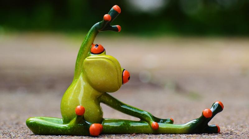 Healthy lifestyle in middle age may extend lifespan by more than a decade. (Photo: Pixabay) Healthy lifestyle in middle age may extend lifespan by more than a decade. (Photo: Pixabay)