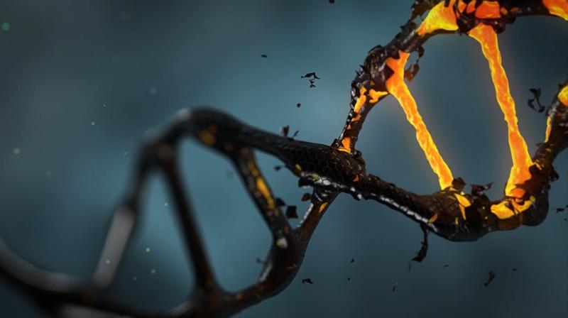 This has made the evolution of “superbugs” that can evade one or multiple drugs one of the biggest threats facing medicine today. (Photo: Pixabay) This has made the evolution of “superbugs” that can evade one or multiple drugs one of the biggest threats facing medicine today. (Photo: Pixabay)