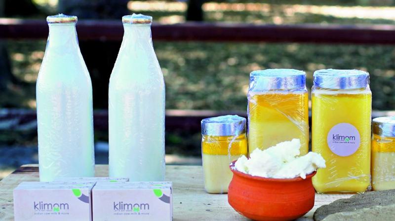 Allola Divya Reddy’s search for pure cow milk became the foundation of Klimom Wellness and Farms, with the intent of making the benefits of pure A2 milk available to young mothers and their children across the country. Allola Divya Reddy’s search for pure cow milk became the foundation of Klimom Wellness and Farms, with the intent of making the benefits of pure A2 milk available to young mothers and their children across the country.