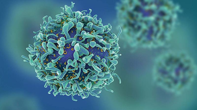 Nanoparticles of calcium phosphate, which is found in bones, can be used as a biodegradable radio frequency (RF) agent to kill cancer cells, according to scientists at AIMS, Kochi. Nanoparticles of calcium phosphate, which is found in bones, can be used as a biodegradable radio frequency (RF) agent to kill cancer cells, according to scientists at AIMS, Kochi.