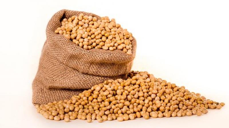 Higher soy intake was also associated with less reported fatigue. (Photo: Pixabay) Higher soy intake was also associated with less reported fatigue. (Photo: Pixabay)