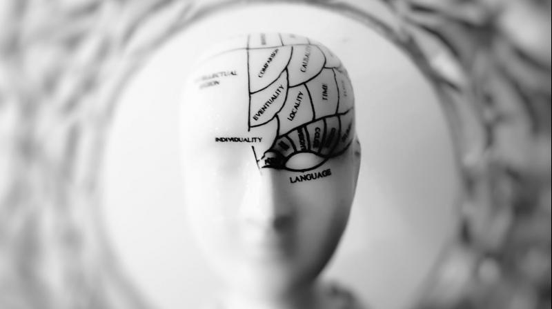 Mitochondrial targeting of such compounds is likely to be effective in treating Parkinson's patients, and pursuing that is our future strategy. (Photo: Representational/Pexels) Mitochondrial targeting of such compounds is likely to be effective in treating Parkinson's patients, and pursuing that is our future strategy. (Photo: Representational/Pexels)