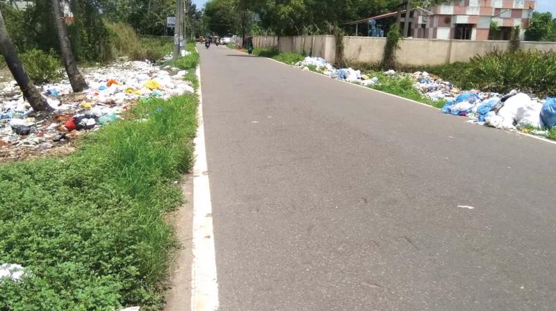 Waste dumped on both sides of the Chittoor-Cheranellore road at Chittoor (Photo: DC) Waste dumped on both sides of the Chittoor-Cheranellore road at Chittoor (Photo: DC)