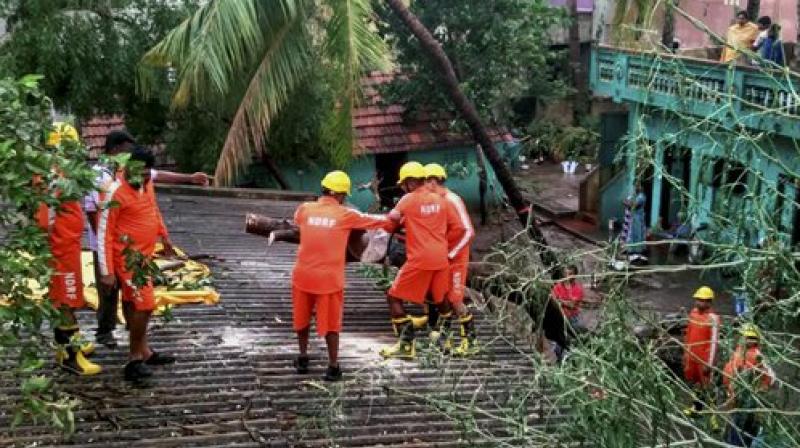 National Disaster Response Force (NDRF) personnel conducting relief operations in Cyclone Vardah hit Chennai city on Tuesday. (Photo: PTI) National Disaster Response Force (NDRF) personnel conducting relief operations in Cyclone Vardah hit Chennai city on Tuesday. (Photo: PTI)