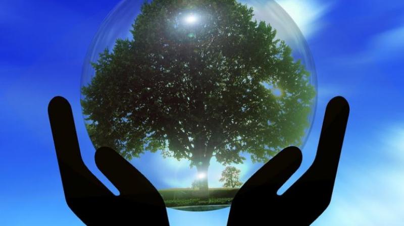 The study says that forests are key to at least six of the study's 20 NCS's, which could collectively reduce 11.3 billion metric tons of greenhouse gas emissions per year. The study says that forests are key to at least six of the study's 20 NCS's, which could collectively reduce 11.3 billion metric tons of greenhouse gas emissions per year.