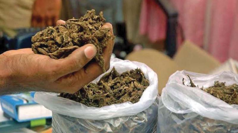 Pappu used to illegally bring narcotic drugs from India and supply in different parts of the country, including Kathmandu. (Photo: File/Representational) Pappu used to illegally bring narcotic drugs from India and supply in different parts of the country, including Kathmandu. (Photo: File/Representational)