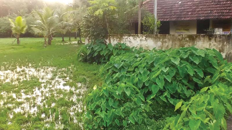 The sole Anganwadi in the remote village is in a dilapidated condition, and parents refuse to send their children demanding better infrastructure. The sole Anganwadi in the remote village is in a dilapidated condition, and parents refuse to send their children demanding better infrastructure.