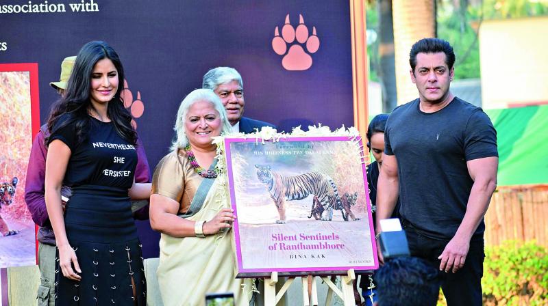 It was quite ironical for Salman, who had to appear in court several times in the matter of the killing of a blackbuck while shooting for Hum Saath Saath Hain.